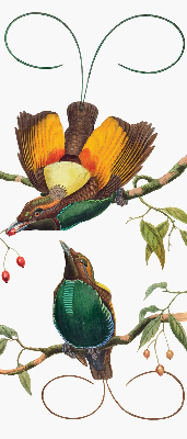 Modern roller blind Birds on a branch