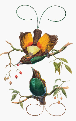 Modern roller blind Birds on a branch
