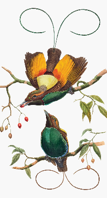 Modern roller blind Birds on a branch