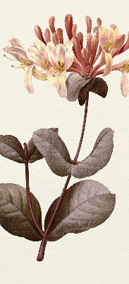 Roller blind for large window Falling flower
