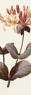 Roller blind for large window Falling flower