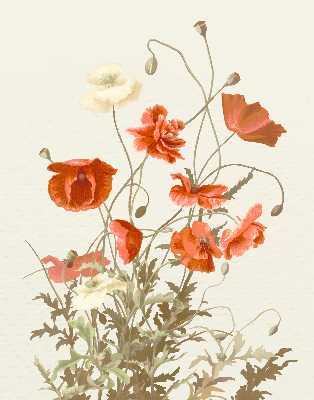 Fabric roller blind Poppies