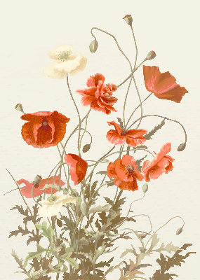 Fabric roller blind Poppies