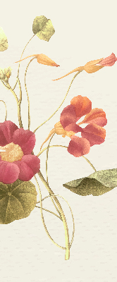 Modern roller blind Flower