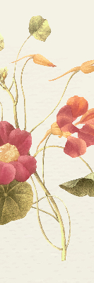 Modern roller blind Flower