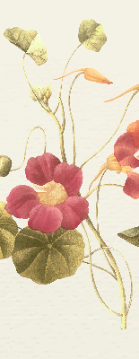 Modern roller blind Flower