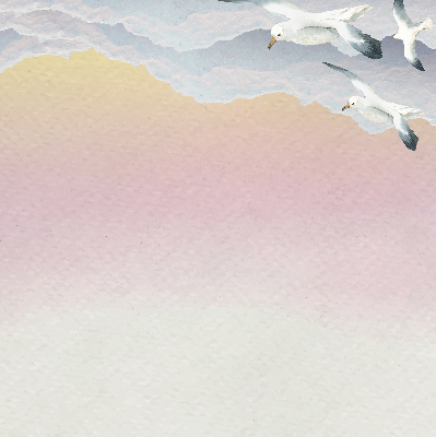 Fabric roller blind Flying birds