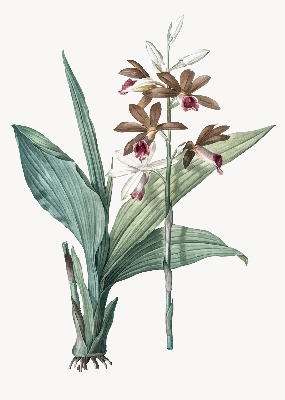 Roller blind for large window Flower
