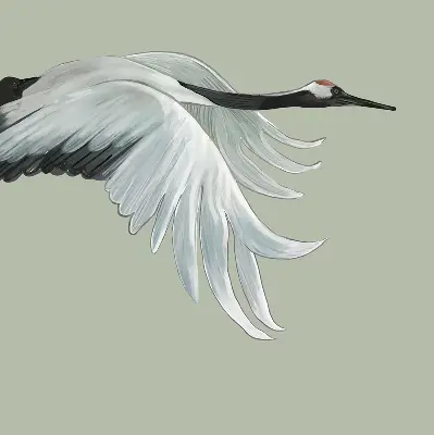 Modern roller blind crane in flight design
