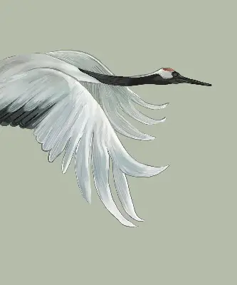 Modern roller blind crane in flight design