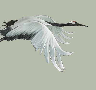 Modern roller blind Crane in flight