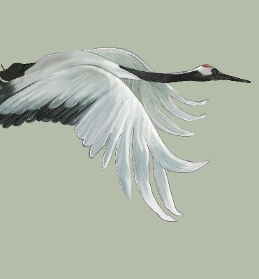 Modern roller blind Crane in flight