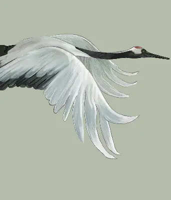 Modern roller blind crane in flight design