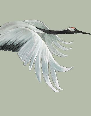 Modern roller blind Crane in flight