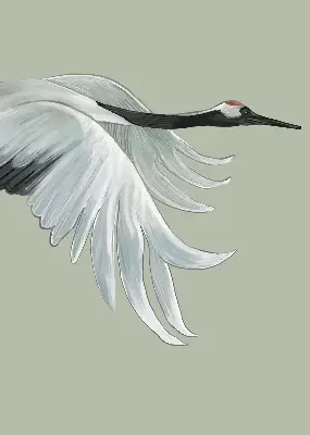 Modern roller blind crane in flight design