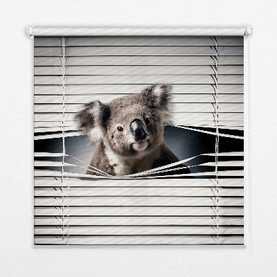 Fabric roller blind Koala