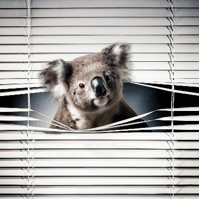 Fabric roller blind Koala