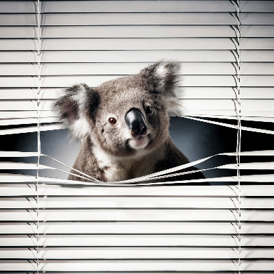 Fabric roller blind Koala