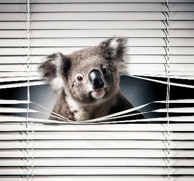 Fabric roller blind Koala