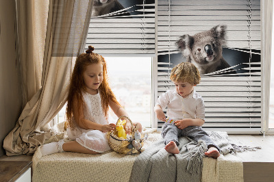 Fabric roller blind Koala