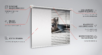 Fabric roller blind Koala