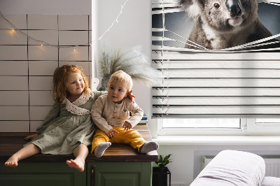 Fabric roller blind Koala