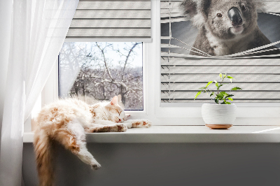 Fabric roller blind Koala