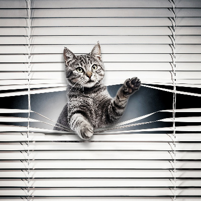 Modern roller blind Cat