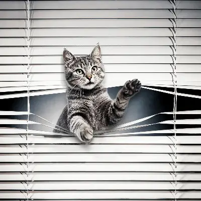Modern roller blind cat pattern design