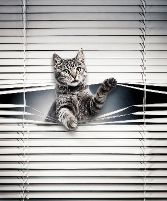 Modern roller blind Cat