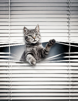 Modern roller blind Cat
