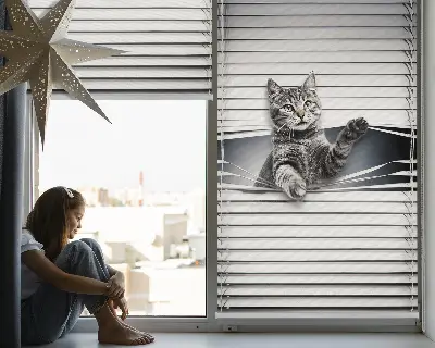 Modern roller blind cat pattern design
