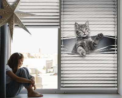 Modern roller blind Cat