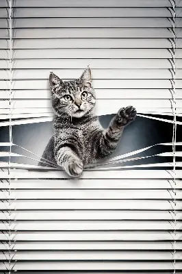 Modern roller blind cat pattern design