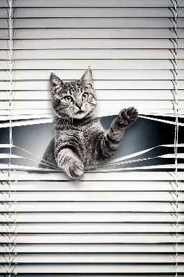 Modern roller blind Cat