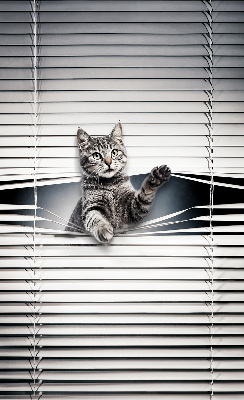 Modern roller blind Cat