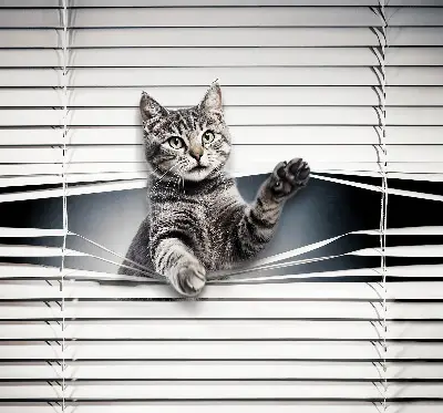 Modern roller blind cat pattern design
