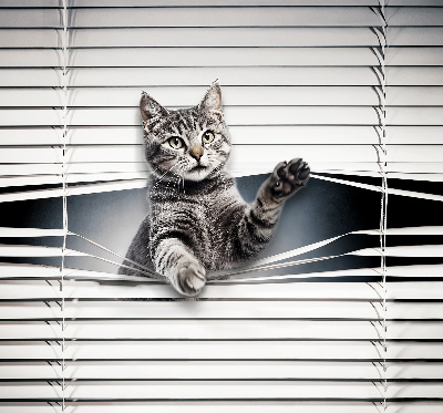 Modern roller blind Cat