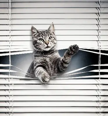 Modern roller blind cat pattern design