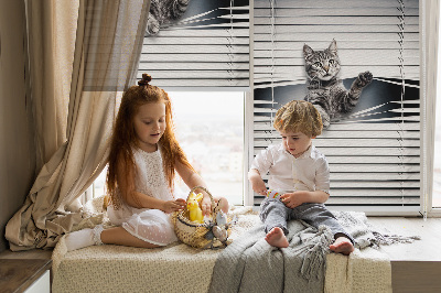 Modern roller blind Cat