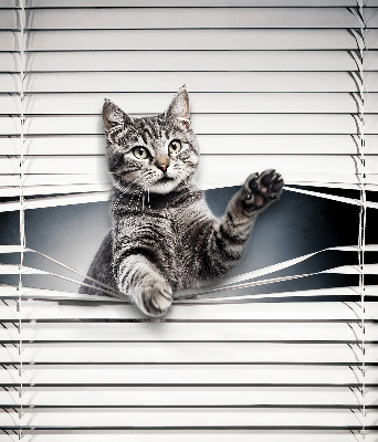 Modern roller blind Cat
