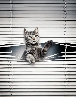 Modern roller blind cat pattern design