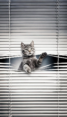Modern roller blind Cat