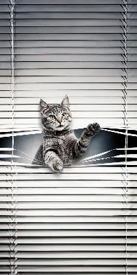 Modern roller blind cat pattern design
