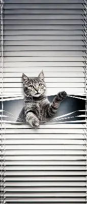 Modern roller blind cat pattern design