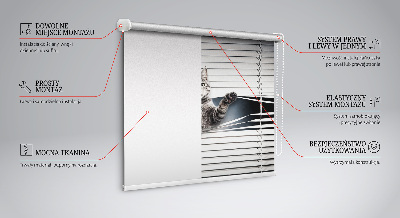 Modern roller blind Cat