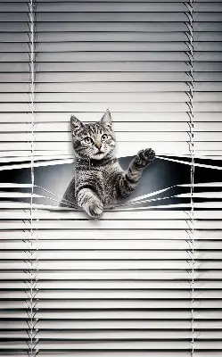 Modern roller blind cat pattern design
