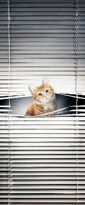 Roller blind for large window ginger cat pattern