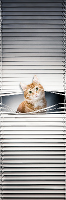 Roller blind for large window Ginger cat