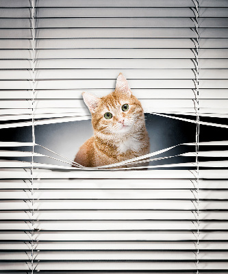 Roller blind for large window Ginger cat